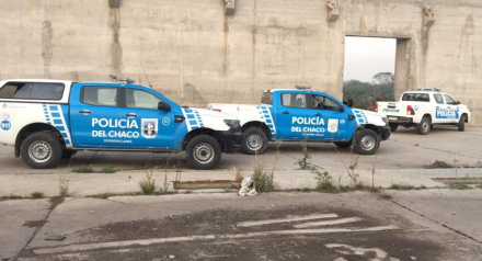 busquedfa.jpg copy