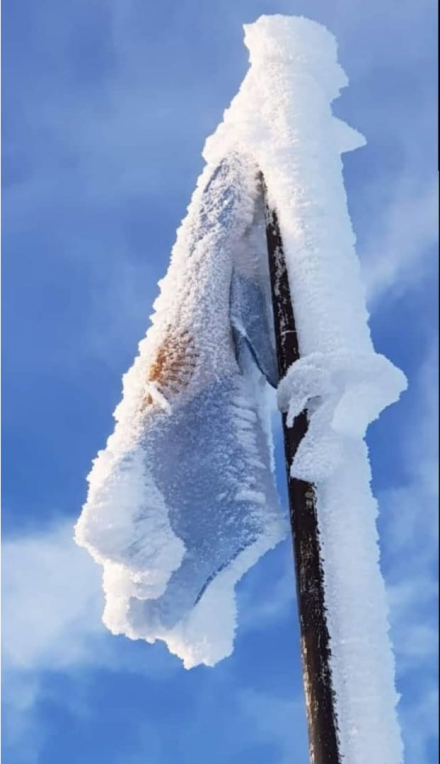 frio3.jpg