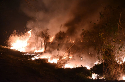 incendios.jpg