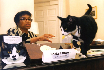 socks.jpg