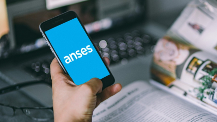 anses.jpg