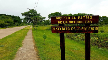 cartel 1.jpg