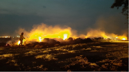 incendio pastizal.jpg