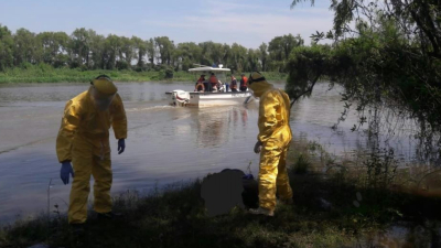 Impactante hallazgo a orillas del rio Paraná