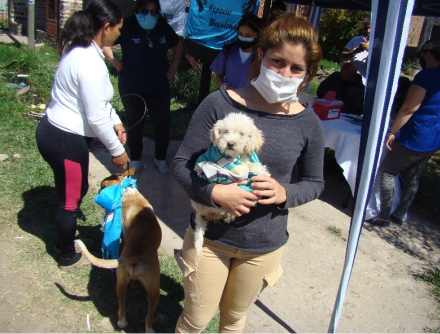 perro 2.jpg