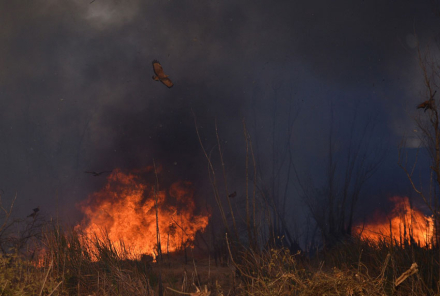 incendio6.jpg