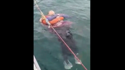 Encontraron viva y flotando en el mar a una mujer que estuvo desaparecida durante dos años