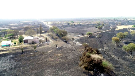 Foto incendio.jpg