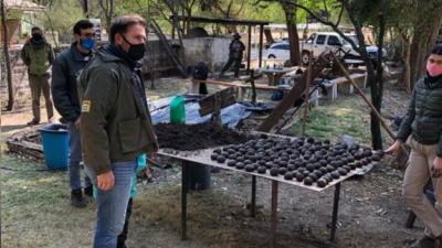 Córdoba: guardaparques preparan “bombas de semillas” para reforestar las sierras