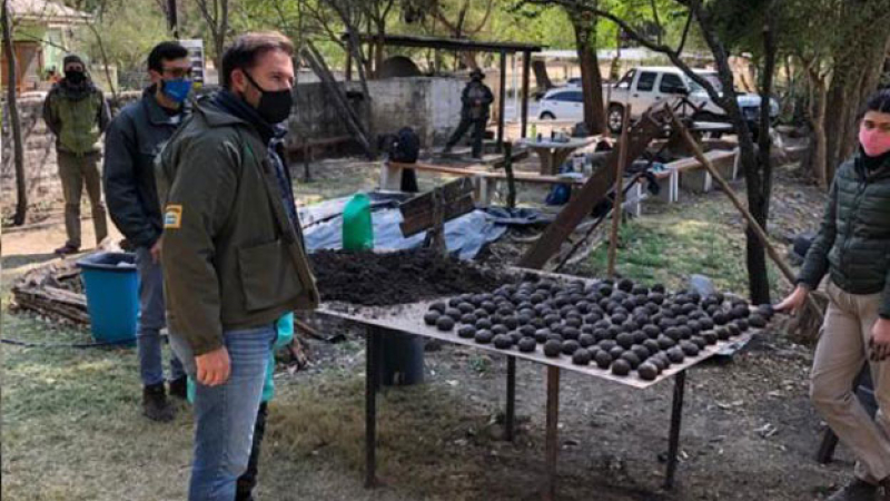 Córdoba: guardaparques preparan “bombas de semillas” para reforestar las sierras