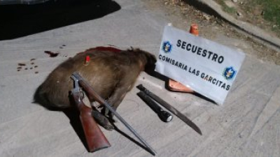 Un hombre terminó tras las rejas luego de matar a un carpincho