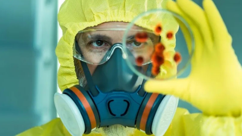 Nuevo virus letal similar al Ébola enciende las alarmas en Bolivia