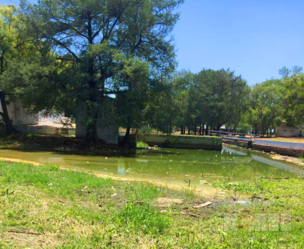 parque7.jpg