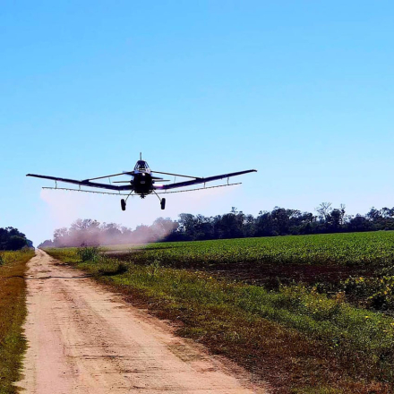 fumigando-el-avion.jpg