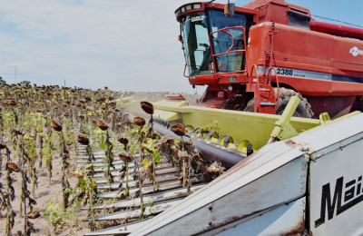 A punto de cerrarse la trilla con rindes promedios de 1700 kilos por hectárea