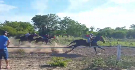 caballos.jpg