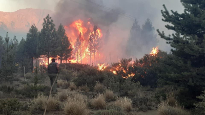 El incendio que arrasó casi 10 mil hectáreas en El Bolsón se habría originado por un asado