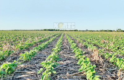 El campo chaqueño pide que no se tome al productor como formador de precios