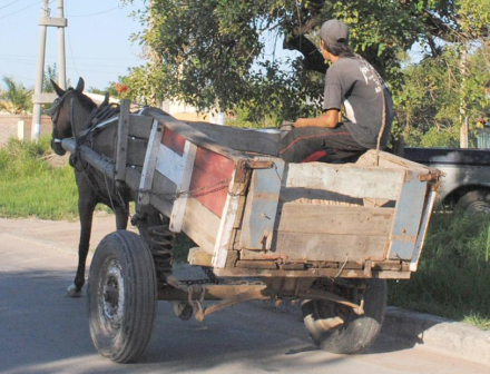 traccion2.jpg