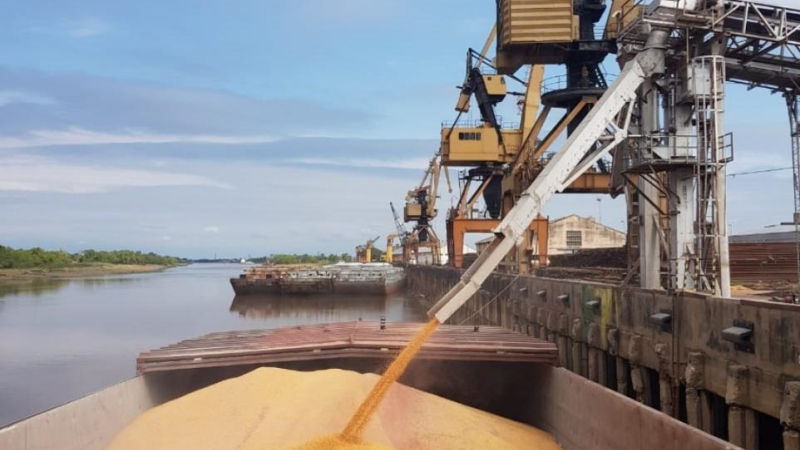 El 2020 sigue dejando magros datos: Chaco perdió el liderazgo regional en exportaciones