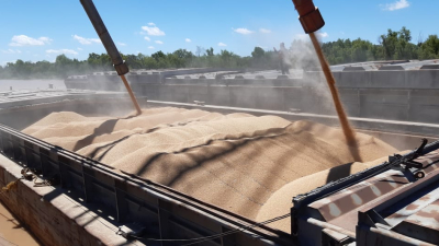 Proponen conformar un "bloque agroalimentario" con Brasil