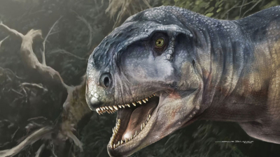 Científicos identificaron fósiles de una nueva especie de dinosaurio en Neuquén