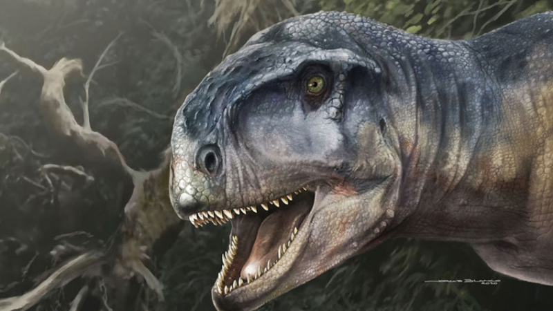 Científicos identificaron fósiles de una nueva especie de dinosaurio en Neuquén