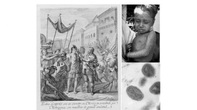 La historia oculta de los virus