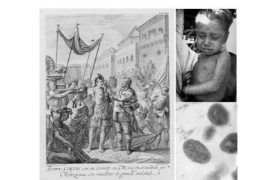 La historia oculta de los virus