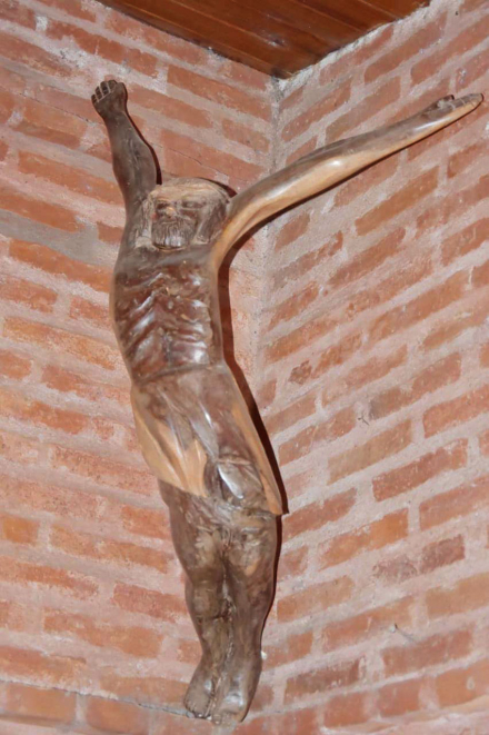 chingolo4.jpg