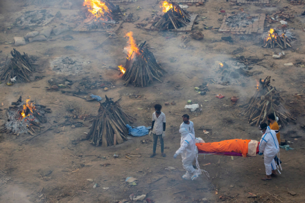 india15.jpg