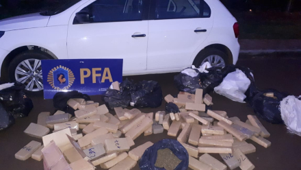 pfa.jpg