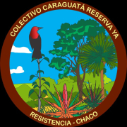 caraguata-ya.jpg