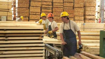 Serias dificultades en el sector de la foresto-industria