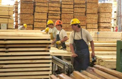 Serias dificultades en el sector de la foresto-industria