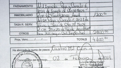 "Hace tres años usurparon mi propiedad", se lamenta una conocida vecina Bermejeña