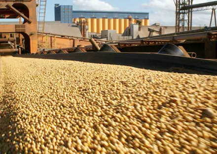 exportaciones agroindustriales.jpg