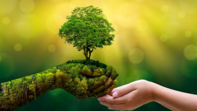 Otro Día Mundial del Medio Ambiente: ¿pesimismo o esperanza?