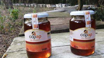 Prórroga de alimentos chaqueños