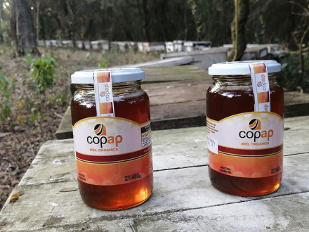 miel-copap.jpg