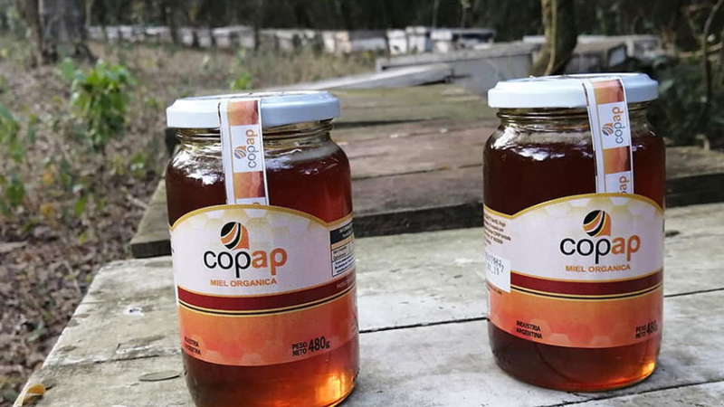 Prórroga de alimentos chaqueños