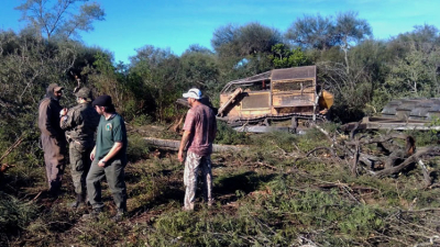 Bosques sigue secuestrando topadoras que desmontan ilegalmente