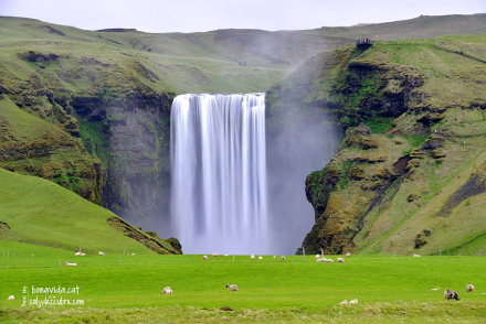 islandia-skogafoss.jpg