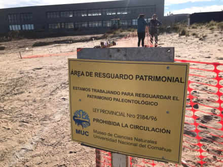 un-sitio-de-nidificacin_785286.jpg