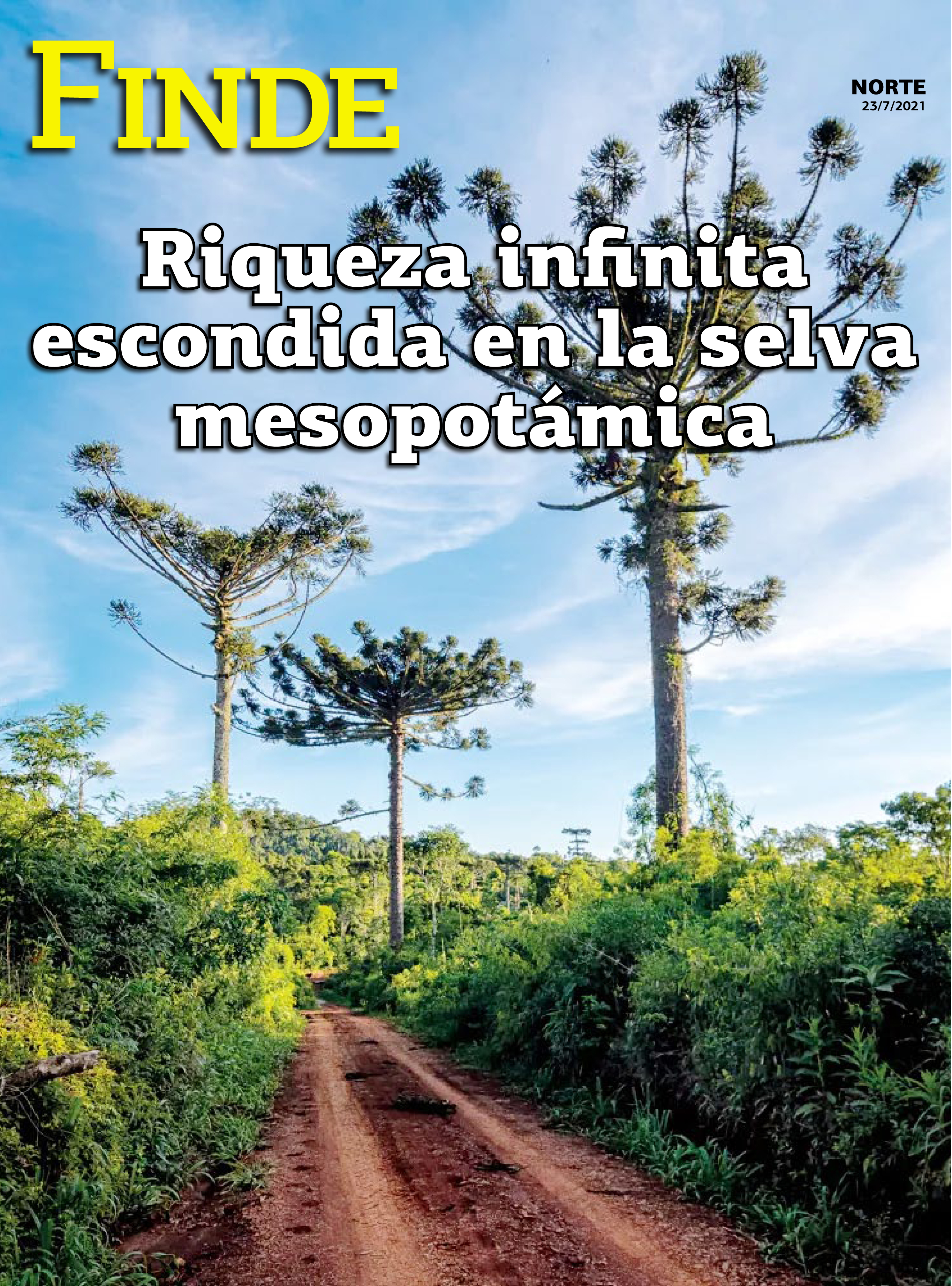 Riqueza infinita escondida en la selva mesopotámica