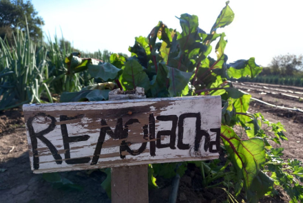 mujeres-rurales.jpg