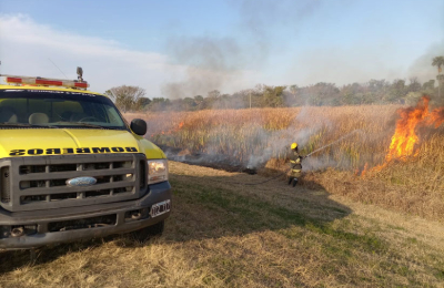 Bomberos extinguieron 14 incendios forestales en San Martín