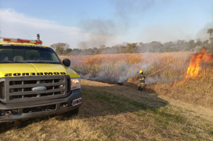 incendios.jpg