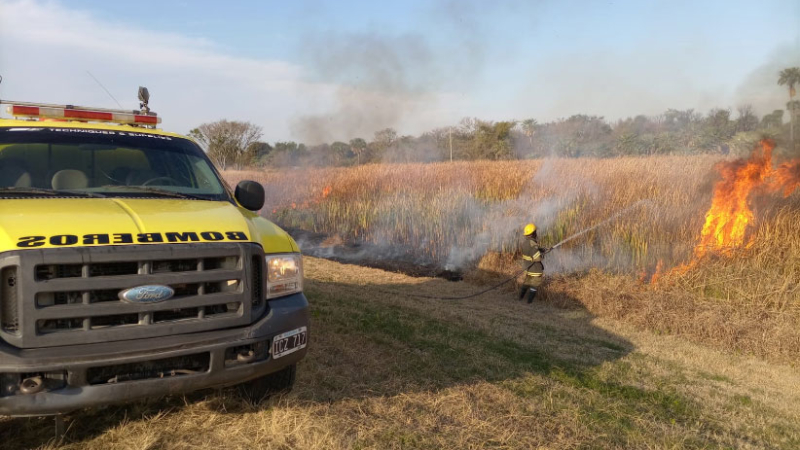 Bomberos extinguieron 14 incendios forestales en San Martín