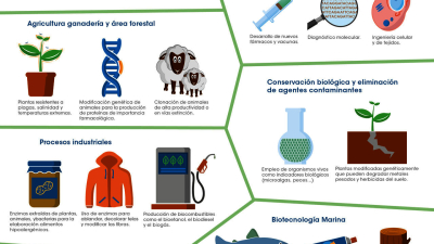El potencial de la biotecnología en el Chaco
